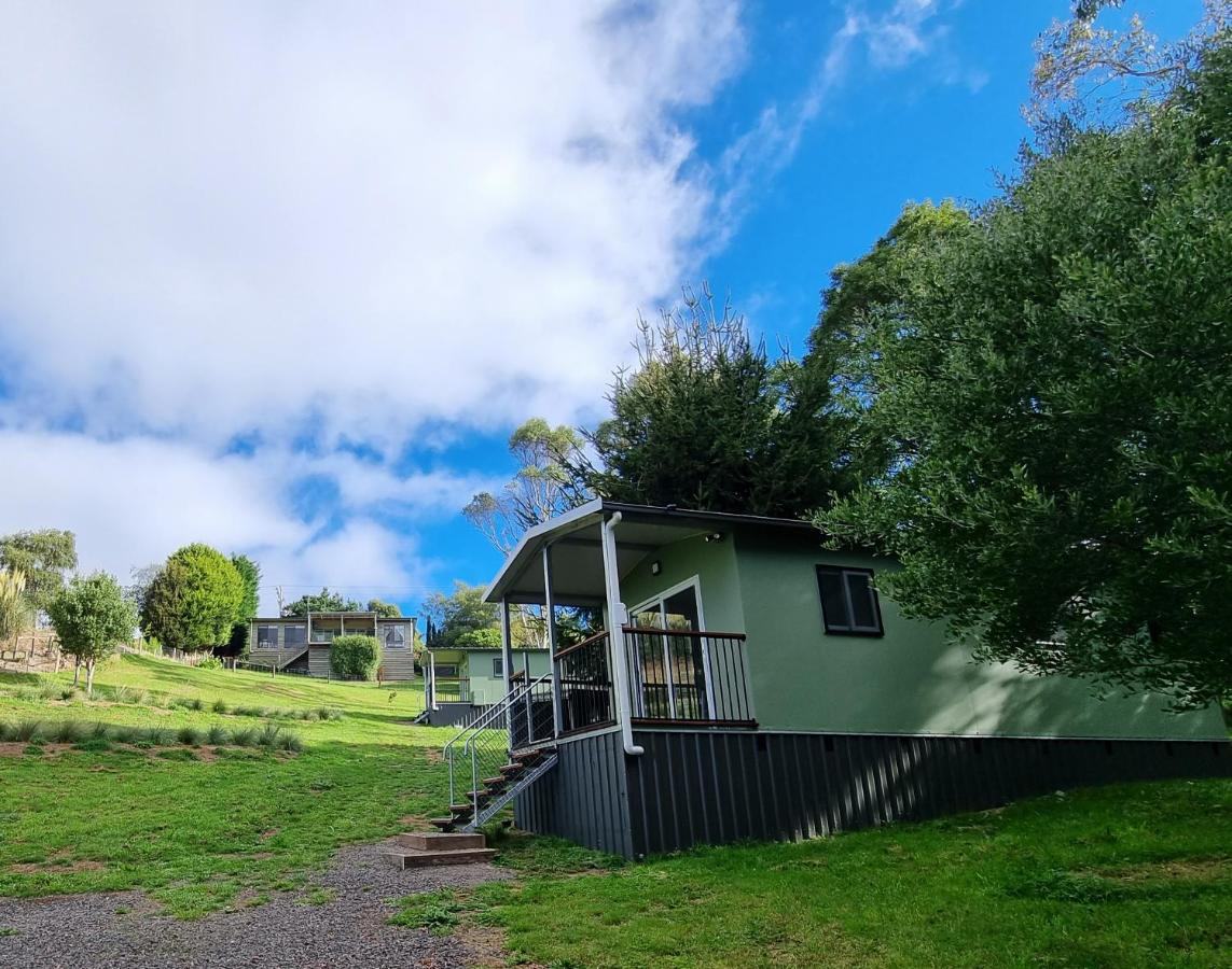 Cozy Otways Accommodation Beech Forest Exteriér fotografie