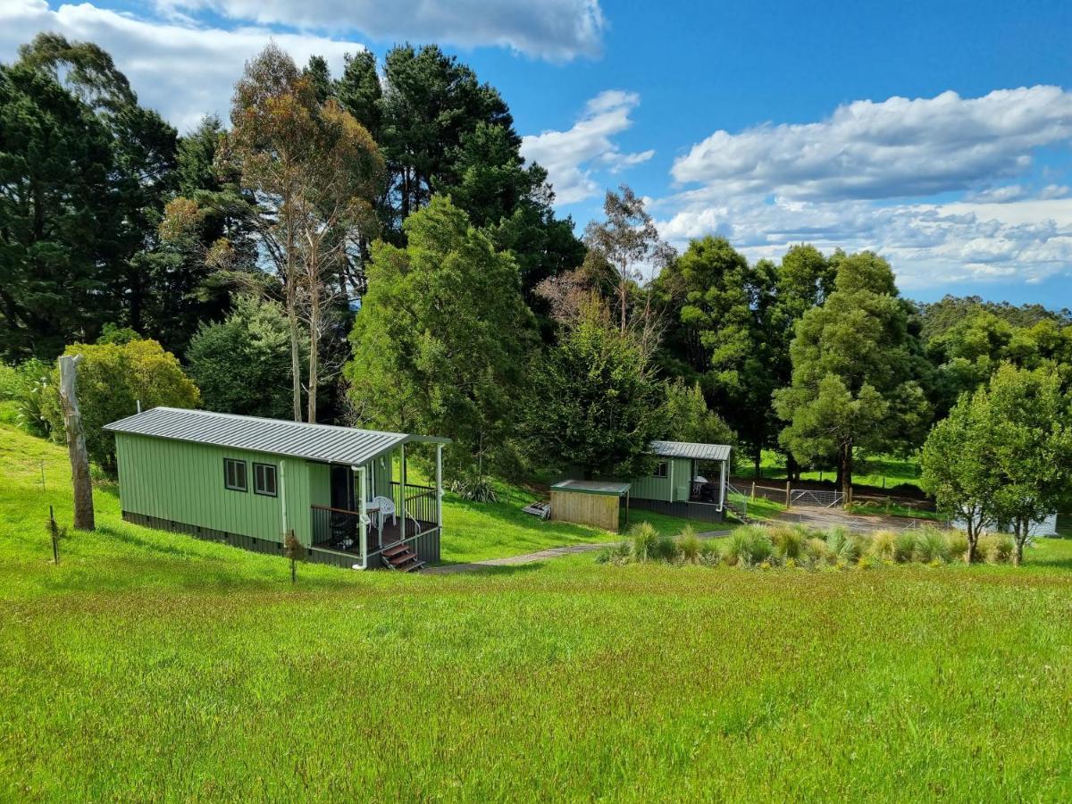 Cozy Otways Accommodation Beech Forest Exteriér fotografie